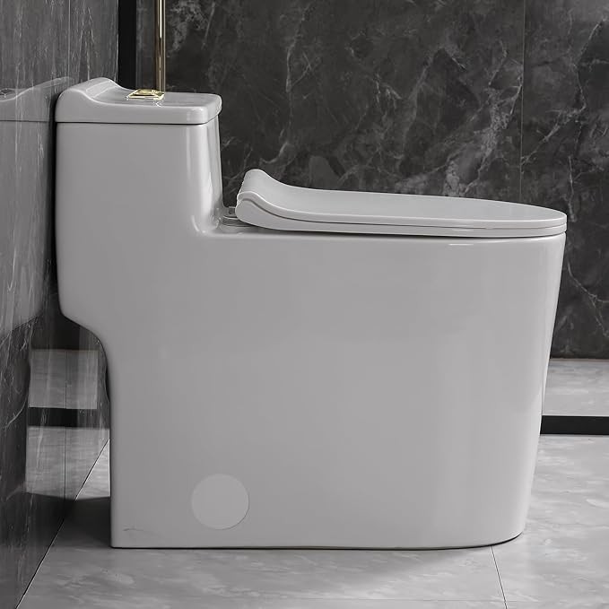 SouNor 10"Rough-in One Piece Elongated Modern Toilet Dual flush With 3-inch Flush Valve Standard Height Bowl White SN1080SG